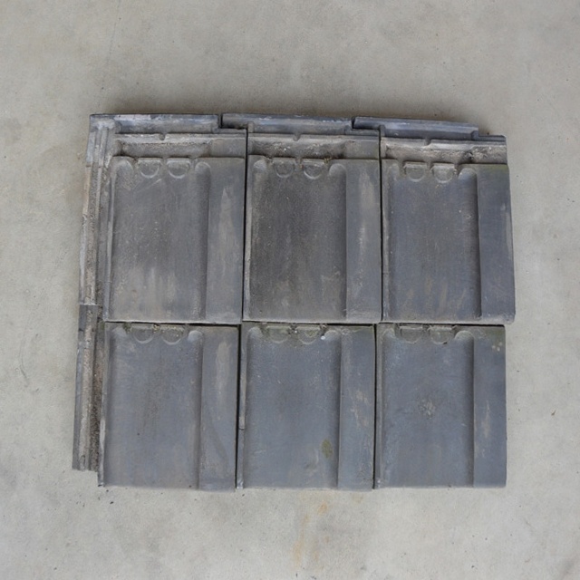 Tuile du Nord blauwgesmoord   